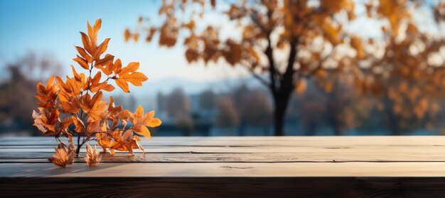 Orange Herbstblätter auf dem Tisch auf dem Land