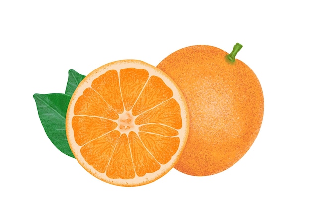 Orange Illustrationsfarbmalerei
