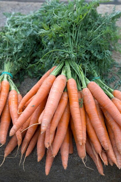 Orange Karotte am Lebensmittelmarktstand