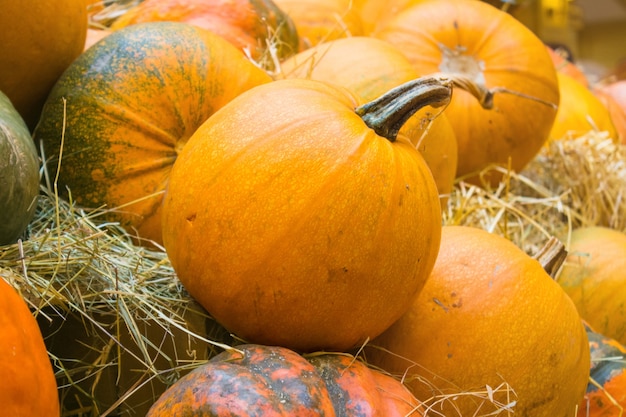 Orange Kürbis Nahaufnahme. Landwirtschaftliche Produkte auf dem Heu. Herbsternte auf einem Markt