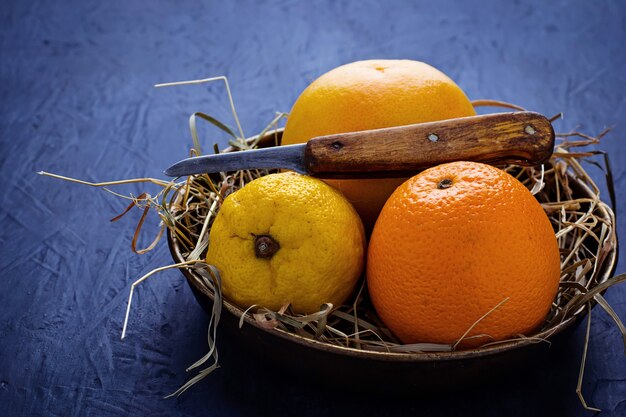 Orange, Pampelmuse und Zitrone auf konkretem Hintergrund
