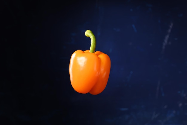 Orange Paprika auf dunklem Hintergrund