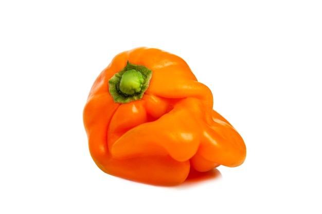 Orange Paprika einer ungewöhnlichen Form. Vitamine und Gesundheit aus der Natur. Isoliert auf weißem Hintergrund. Nahaufnahme.