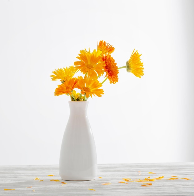 Foto orange ringelblume in weißer vase auf weißem hintergrund