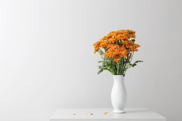 Orangefarbene Chrysanthemen in weißer Vase auf weißem Hintergrund