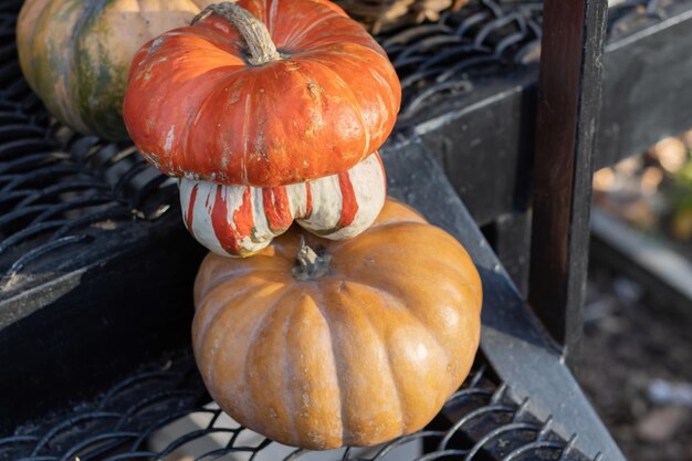 Orangefarbene Halloween-Kürbisse auf Heu- oder Strohstapel an sonnigen Tagen Halloween-Dekorationen