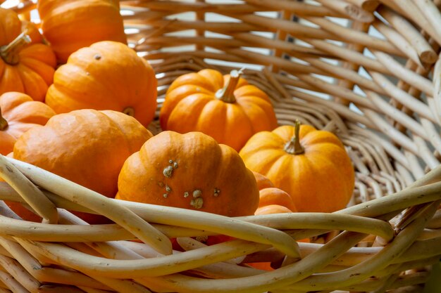 Orangefarbene Kürbisse im Korb Herbst- oder Herbsternte