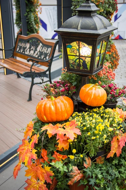 Orangefarbener Kürbis und Retro-Laterne mit Ahornblattblumen und Weißdornbeeren