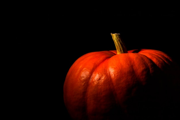 Orangefarbenes Kürbis-Nahaufnahmemuster und Textur der Schale mit dem Stielhintergrund