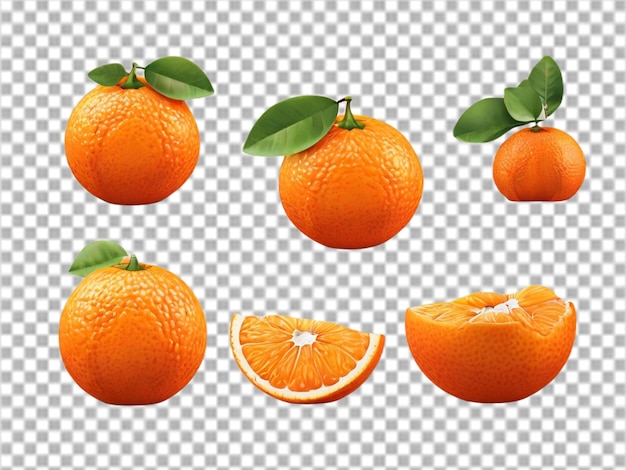 Orangenfrüchte auf durchsichtigem Hintergrund