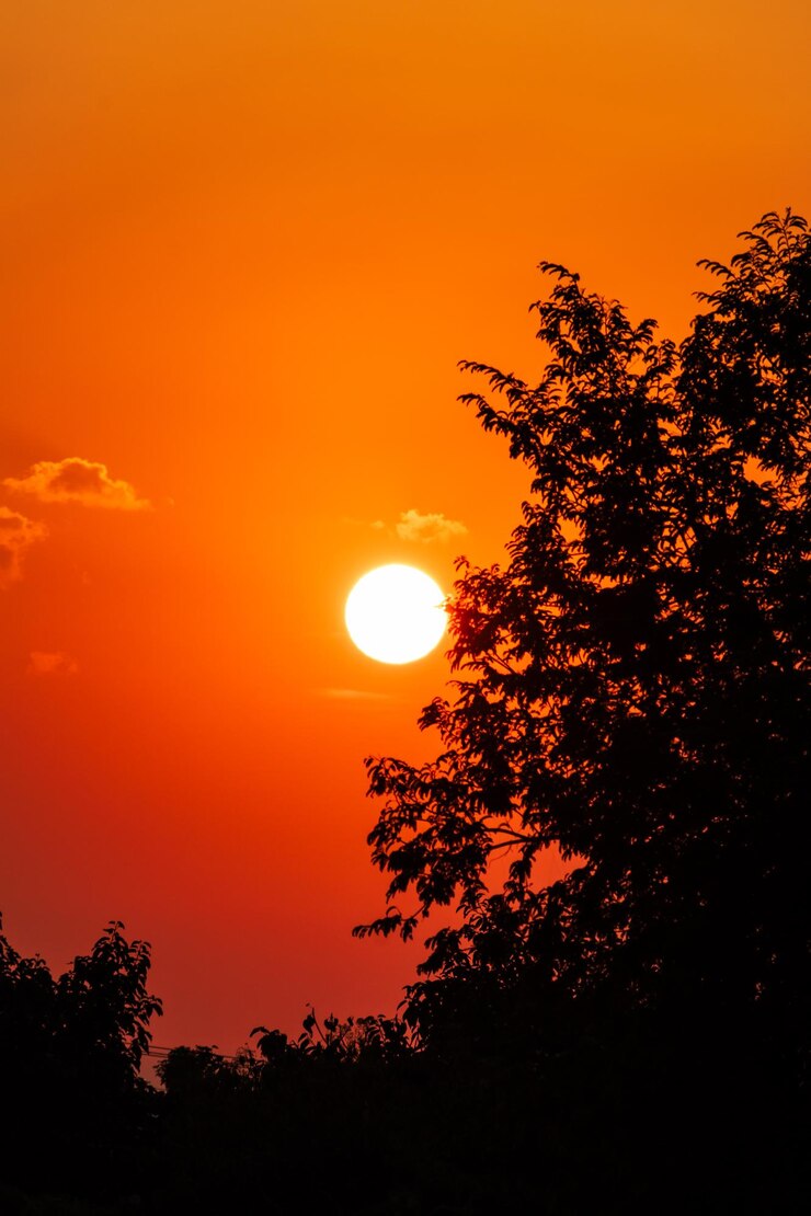Foto oranger sonnenaufgang mit silhouetten von bäumen