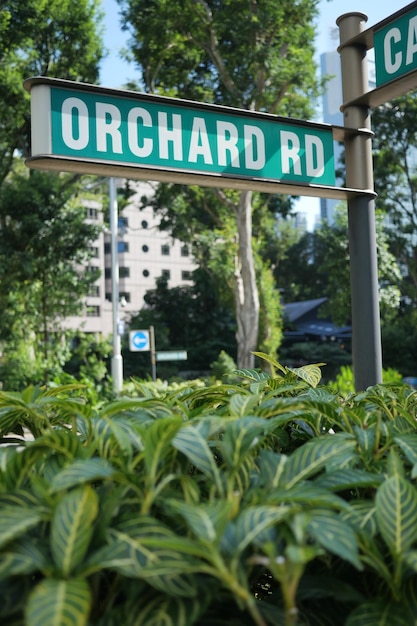 Orchad road cantar y edificios