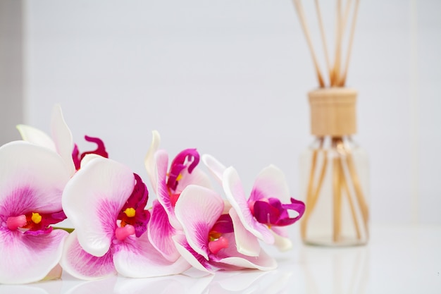 Orchideen- und Aromaöl auf weißer Tabelle