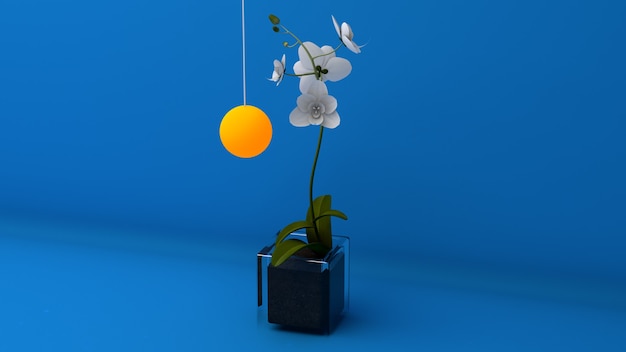 Orchideenblume auf einem blauen Hintergrund