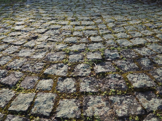 Ordentlich angelegte alte Pflastersteine Pflaster auf dem Platz des Altstädter Rings und rechteckige Steine auf dem mit Moos und Flechten bedeckten Boden