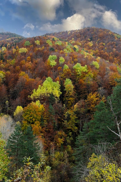 Ordesa e Monte Perdido Anisclo Canyon Montanha Sensa Pirinéus Aragoneses