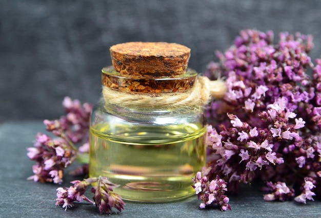 Oregano ätherisches Öl in einer Glasflasche mit frisch blühenden Kräuterzweigen auf dunklem Hintergrund