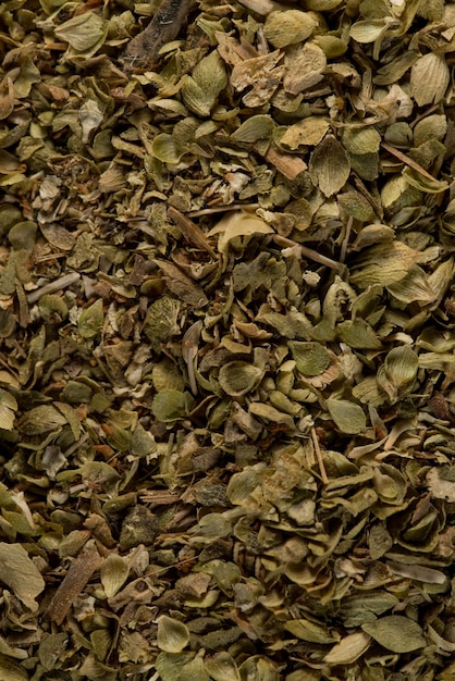 Oregano Petersilie hautnah