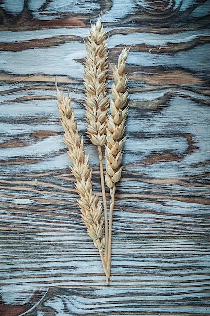 Orejas de centeno maduras en tablero de madera vintage