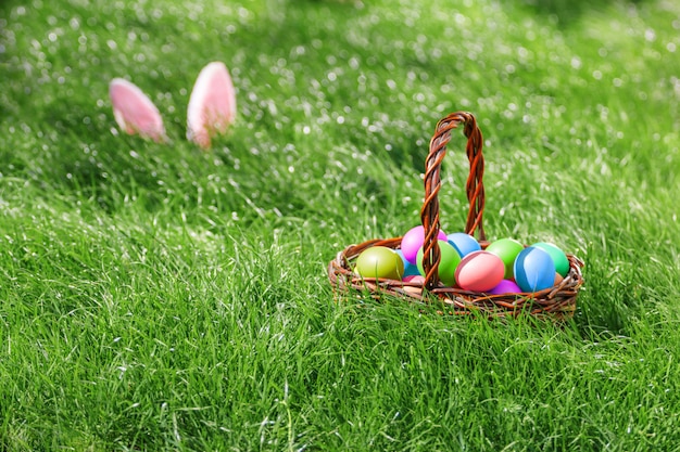 Foto orejas de conejo sobre hierba y huevos de pascua en cesta