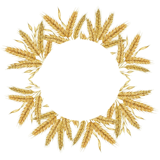orejas de trigo marco redondo corona de cebada acuarela para el embalaje de harina de pan clipart rústico para invitación de boda de granero Acción de Gracias panadería de Shavuot