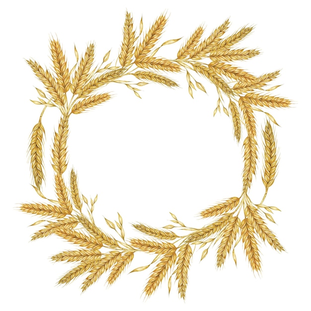 orejas de trigo marco redondo corona de cebada acuarela para el embalaje de harina de pan clipart rústico para invitación de boda de granero Acción de Gracias panadería de Shavuot