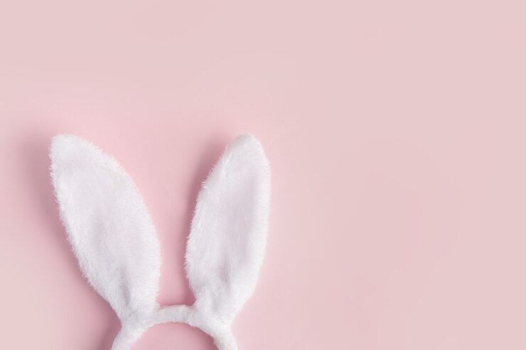 Orelhas de coelhinho da Páscoa isoladas em um fundo rosa com espaço de cópia