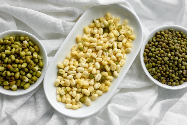 Organics frische Baby Green Bean Sprossen in weißer Keramikschale auf dunklem Betonhintergrund