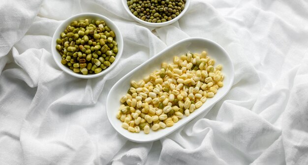 Organics frische Baby Green Bean Sprossen in weißer Keramikschale auf dunklem Betonhintergrund