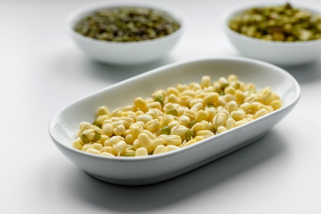 Organics frische Baby Green Bean Sprossen in weißer Keramikschale auf dunklem Betonhintergrund