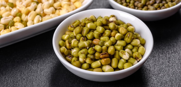 Organics frische Baby Green Bean Sprossen in weißer Keramikschale auf dunklem Betonhintergrund