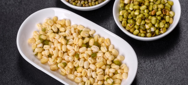 Organics frische Baby Green Bean Sprossen in weißer Keramikschale auf dunklem Betonhintergrund