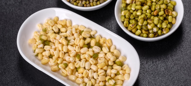 Organics frische Baby Green Bean Sprossen in weißer Keramikschale auf dunklem Betonhintergrund