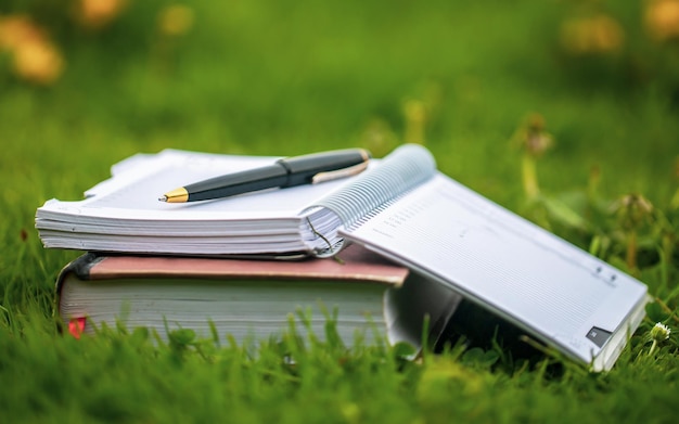 Organisator und Buch im Freien