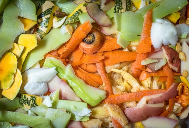 Organische Abfälle zur Kompostierung mit Obst- und Gemüseschälen