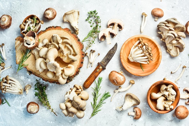 Organische gesunde Pilze Maitake-Pilze Brauner Buchenpilz und Champignons Auf einem Steinhintergrund