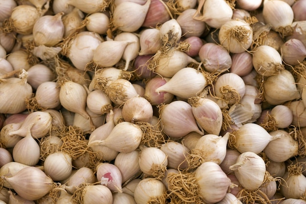 Organische kleine Perlzwiebeln und Knoblauch auf dem Markt in der Türkei