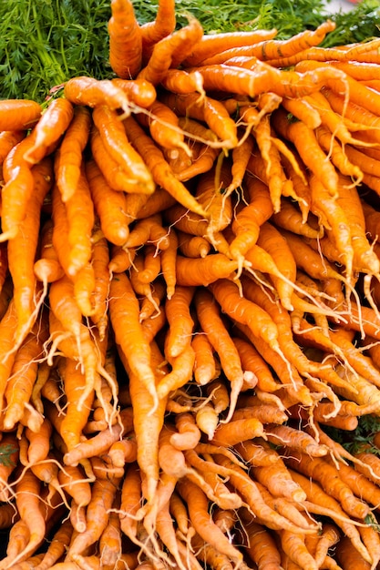 Organische orange Karotten auf einem Display auf dem lokalen Bauernmarkt.