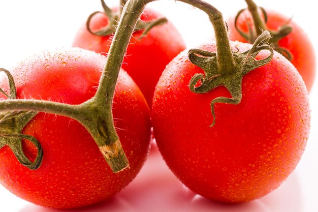 Organische Roma-Tomaten auf weißem Hintergrund.