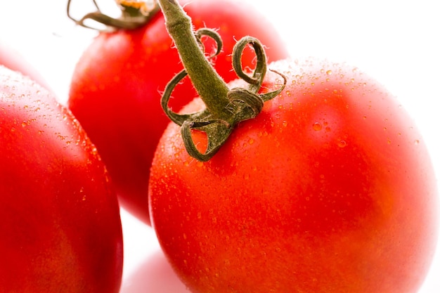 Organische Roma-Tomaten auf weißem Hintergrund.