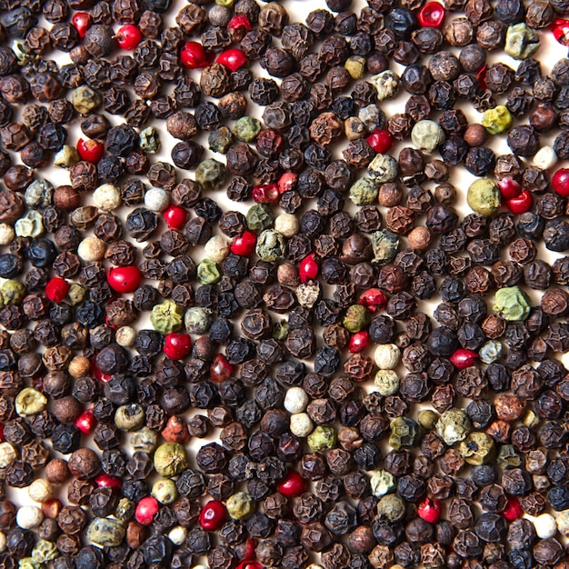Organischer natürlicher Hintergrund von Pfeffer - rot, schwarz, grün, weiß. Essen oder würziges Kochkonzept. Hintergrund für gesunde Ernährung. Flach legen