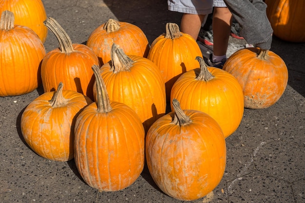 Se organizan varias calabazas para exhibirlas en un mercado callejero de frutas y verduras durante Halloween