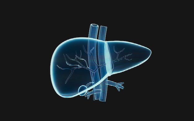 Órgano hepático con efecto de imagen holográfica Ilustración 3D de representación 3D