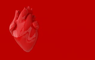 Foto Órgão de coração humano realista com artérias e aorta renderização em 3d