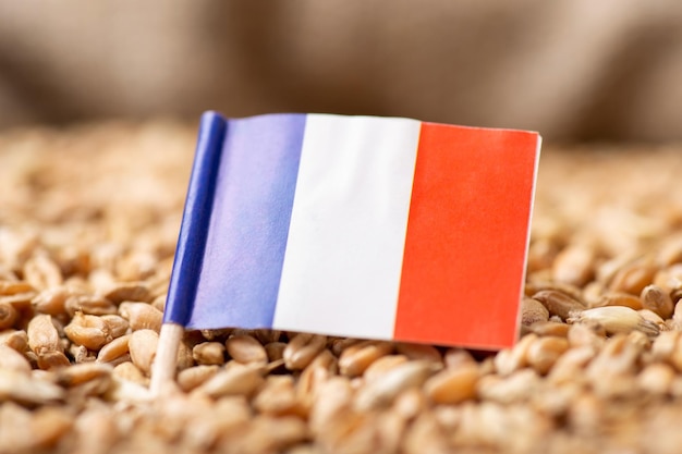 Origen de la agroindustria del trigo en Francia