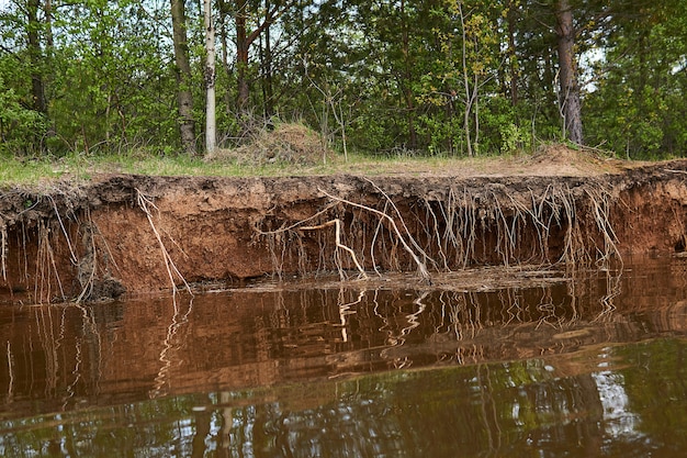 La orilla arcillosa del río es arrastrada por el agua durante las inundaciones