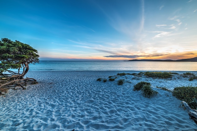 Orilla de arena al atardecer en Cerdeña Italia