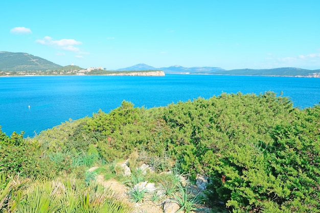 Orilla de Cala Dragunara en un día claro Cerdeña