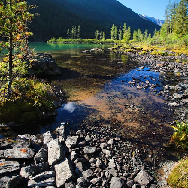 En la orilla de un hermoso lago de montaña, paisaje matutino