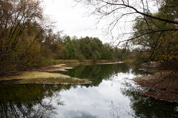 La orilla del lago en el bosque de otoño. Otoño